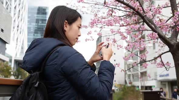 Woman taking photo with sakura tree in Tokyo city