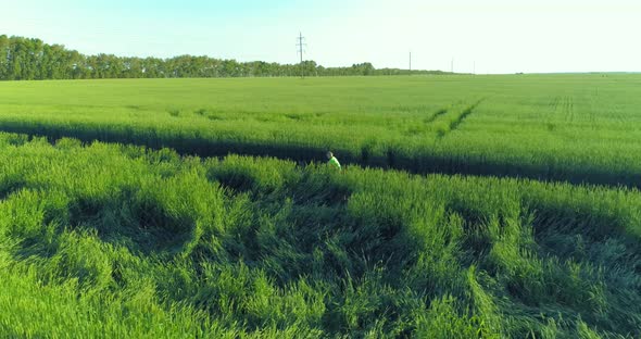 Aerial View on Young Boy, That Rides a Bicycle Thru a Wheat Grass Field on the Old Rural Road