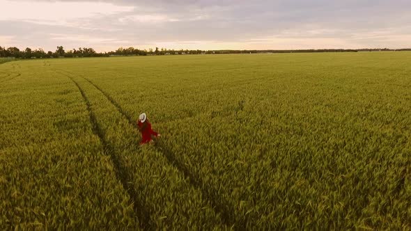 Romantic and Carefree Young Redhead Woman in Slow Motion Video Walking on Field Wheat Enjoying