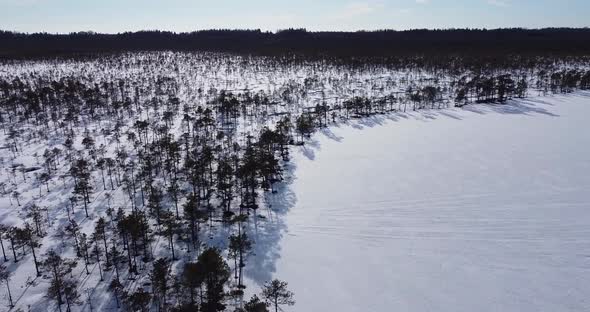 Slowly Flying Over Frozen Lake and Frosty Cold Bog Swamp