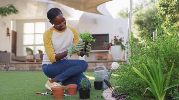 Happy african amercian woman gardening holding pot plant in garden