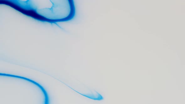 Moving Background Consisting of Blue Particles of the Current Paint on a White Background
