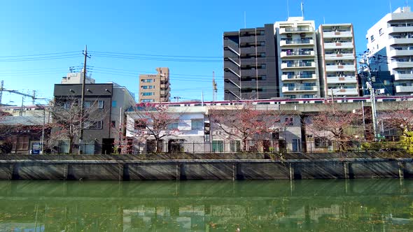 The Beauty of Ooka River