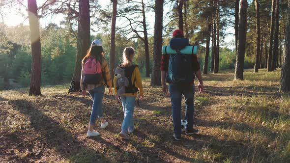 Happy Family Hiking Through a Forest