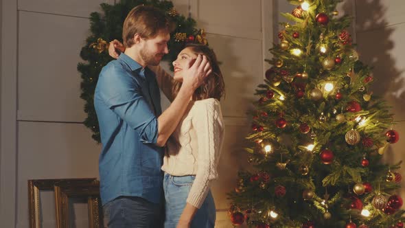 Smiling beautiful woman and her handsome boyfriend posing in New Year interior