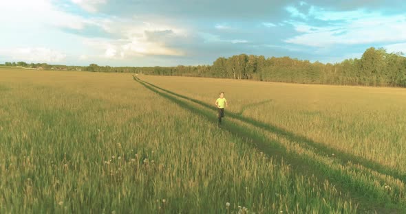 Sporty Child Runs Through a Green Wheat Field