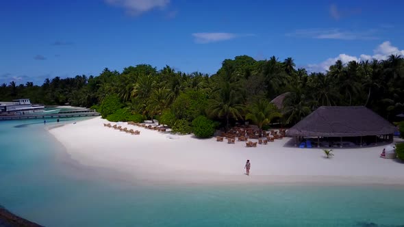 Aerial drone view travel of tranquil lagoon beach wildlife by blue lagoon with clean sandy backgroun