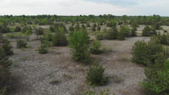 Low Flight Over a Sandy Field with Green Vegetation and Trees