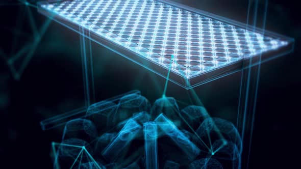 Fry Chicken Meat On Open Fire Bonfire With Firewood Grill Hologram Close Up Hd alt