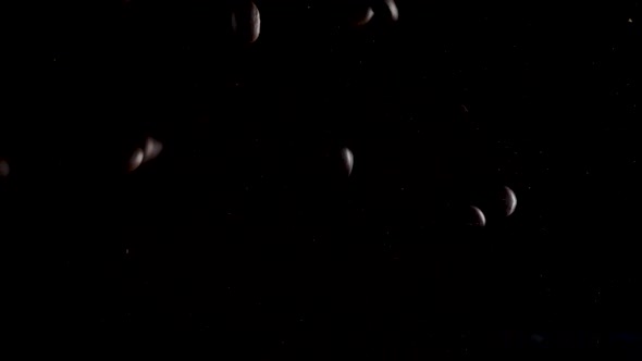 Studio shot of brown coffee beans falling from the dark in to the light on the lens. Black isolated