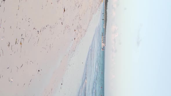 Vertical Video of the Beach on Zanzibar Island Tanzania Aerial View