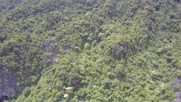 Upper View Tropical Forest Covering Old Mountain in Park