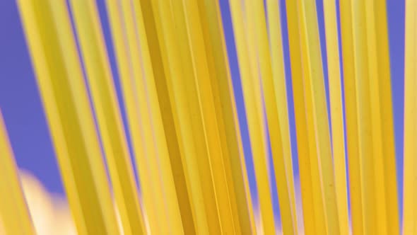 Raw Rye Spaghetti Texture Background