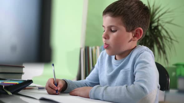 Online Education, Infant Learns Lessons Using Video Broadcasting and Modern Technologies, Boy Looks