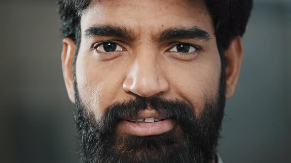 Close Up Portrait Male Bearded Face Adult Brunet Man with Dark Brown Eyeballs Looking at Camera