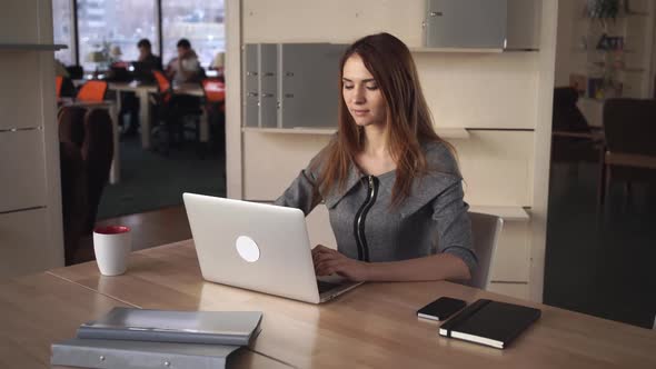 Attractive Businesswoman Works with Computer on the Working Place in the Office