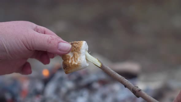 Juicy Piece of Marshmallow Melted and Fried on a Campfire A Woman's Hand Removes Sweetness From a
