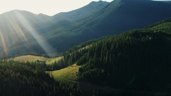 Forested Mountains Slopes with Sunburst