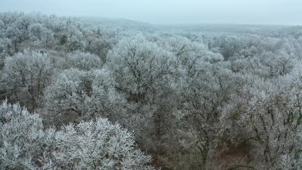 Amazing winter landscape