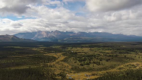 Beautiful View of Lush Forests, Trees and Land