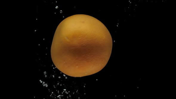 Slow Motion One Grapefruit Falling Into Transparent Water on Black Background