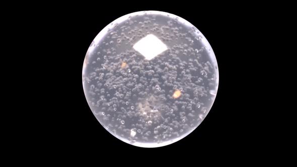 Bubbles Play In The Liquid Sphere alt