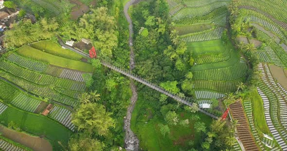 Aerial drone view of suspension bridge, valley and river with waterfalls. mangunsuko bridge or Jokow