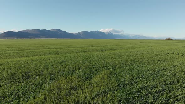 General view countryside landscape with cloudless sky