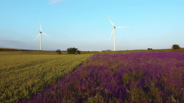 Wind Farm Aerial View