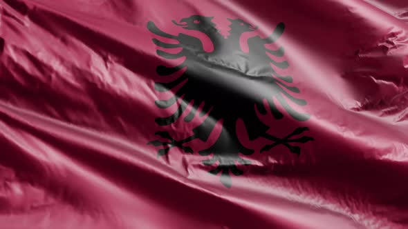 Albania flag waving on the wind loop