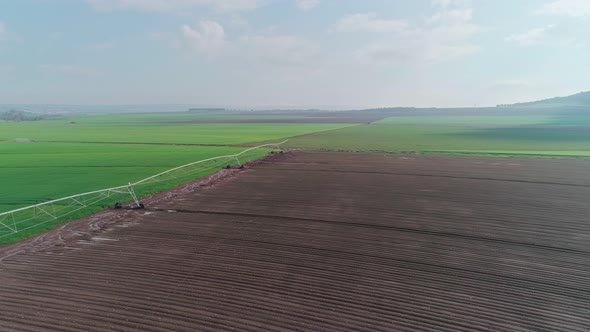 Aerial footage of a green wheat field in northern Israel