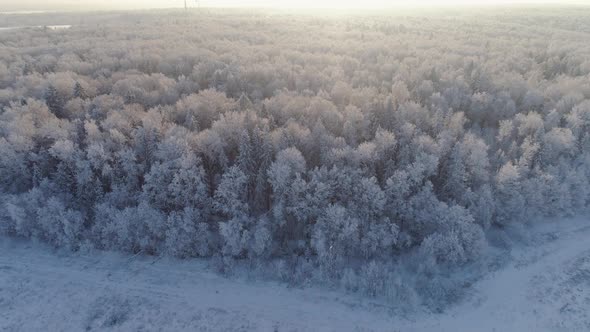 Winter Landscape in Countryside