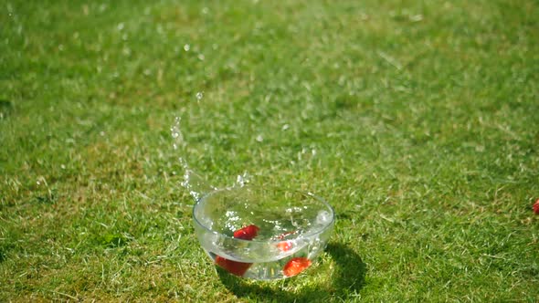 many strawberries in one bowl