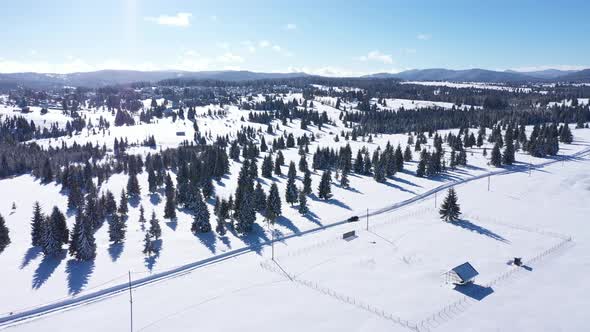 Snow Covered Winter Landscape alt