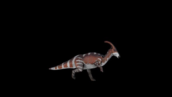 Dinosaur Parasaurolophus Run