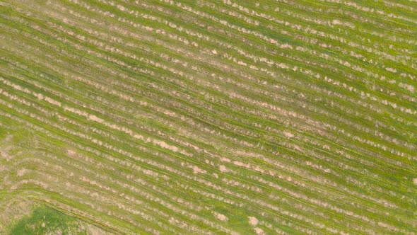 Cosmic Panoramic Aerial View on an Abstract Linear Pattern in the Field