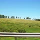Moving along a green hills and green trees - VideoHive Item for Sale