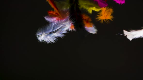 Abstract shot of bright, colored feathers floating and falling in slow motion.