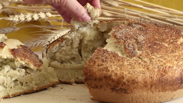 Round of fresh baked homemade hot bread.