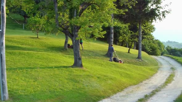 Two males with petrol rotary lawn mowers, trimming green grass between fruit trees. Aerial 4k view.