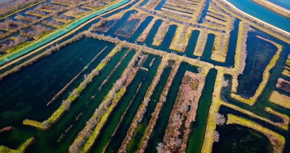 Blue Venice Lagoon Streams Flowing Among Ennobled Polders