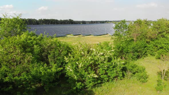 Aerial View of Solar Power Station. Panels Stand in a Row on Green Field. Summer