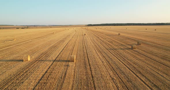 Straw Roll. Farming