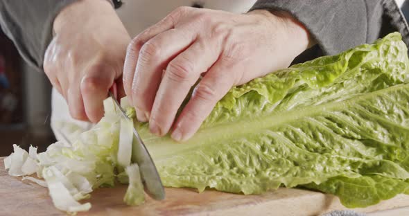 Chef knife cutting green lettuce - close up