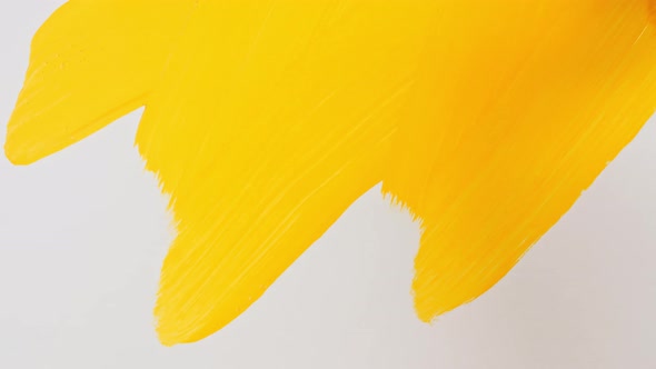 Abstract Brushstrokes of Yellow Paint Brush Applied Isolated on a White Background