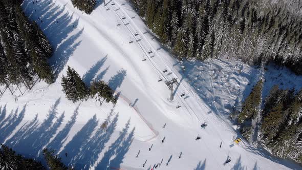 Aerial Ski Slopes with Skiers and Ski Lifts on Ski Resort in Snowy Fir Forest