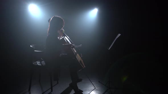 Female Hand Plays with a Bow on a Cello in Dark Studio. Silhouette. Black Smoke Background