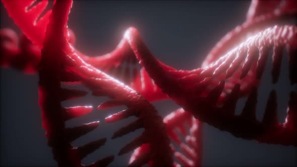Loop Double Helical Structure of Dna Strand Close-up Animation