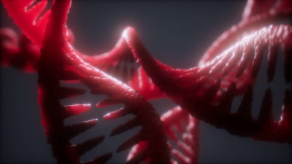 Loop Double Helical Structure of Dna Strand Close-up Animation alt