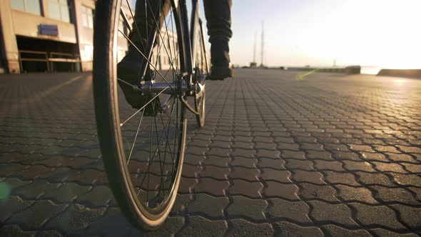 Stylish Handsome Hipster Man Riding Bicycle During Sunset or Sunrise with Sea Port on Background